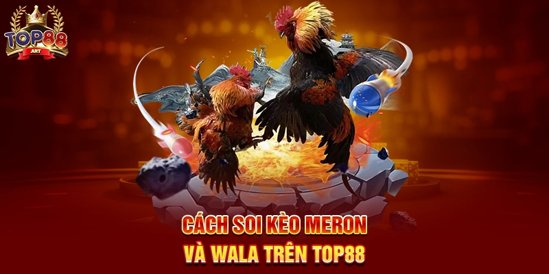Soi Kèo Đá Gà Top88 Bí Quyết Phân Tích Kèo Đá Gà Thomo Chính Xác Nhất Năm 2025 Cách Soi Kèo Meron Và Wala Trên Top88