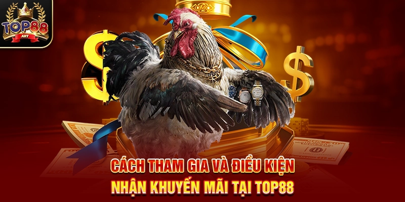 Khuyến Mãi Đá Gà Top88 Những Ưu Đãi Hấp Dẫn Tăng Cơ Hội Thắng Lớn Năm 2025 Cách Tham Gia Và Điều Kiện Nhận Khuyến Mãi Tại Top88