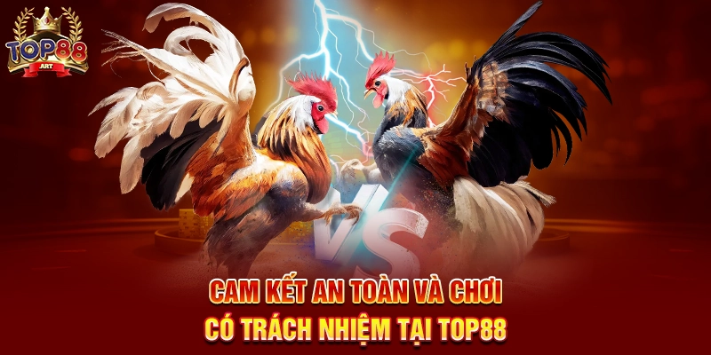 Soi Kèo Đá Gà Top88 Bí Quyết Phân Tích Kèo Đá Gà Thomo Chính Xác Nhất Năm 2025 Cam Kết An Toàn Và Chơi Có Trách Nhiệm Tại Top88