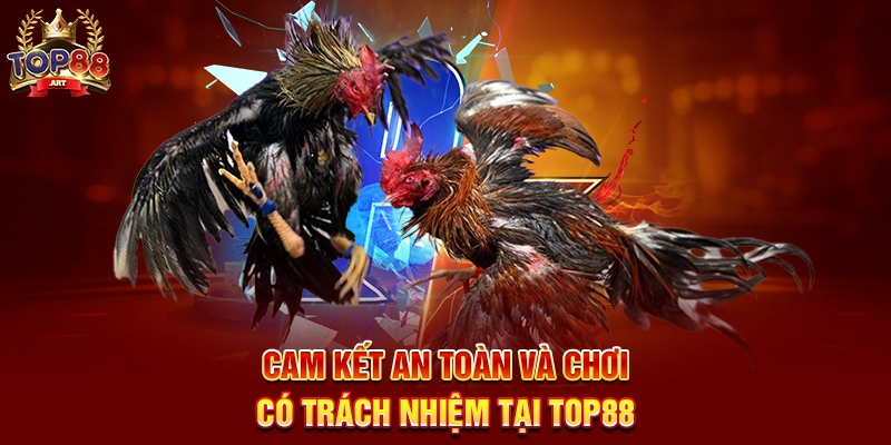 Đá Gà Trực Tuyến Top88 Trải Nghiệm Xem Và Cá Cược Đá Gà Thomo Sống Động Năm 2025 Cam Kết An Toàn Và Chơi Có Trách Nhiệm Tại Top88