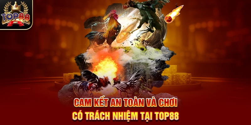 Mẹo Chơi Đá Gà Top88 Bí Quyết Cá Cược Đá Gà Thomo Thắng Lớn Năm 2025 Cam Kết An Toàn Và Chơi Có Trách Nhiệm Tại Top88