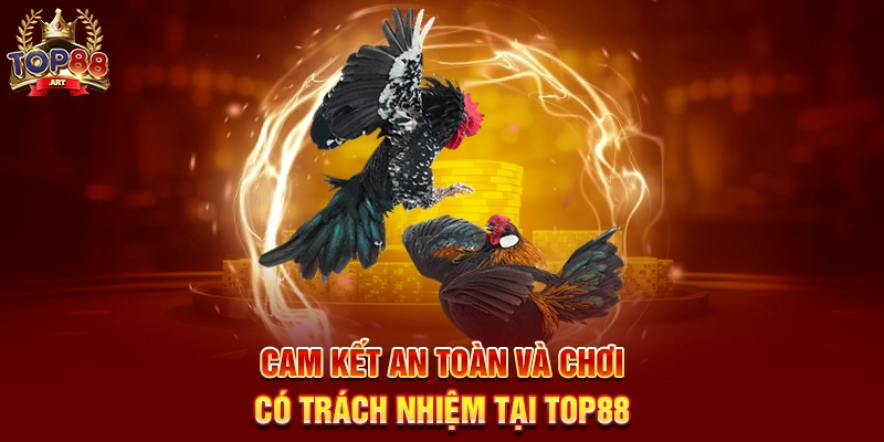Kèo Đá Gà Hot Top88 Cập Nhật Kèo Thơm Đá Gà Thomo Hôm Nay Cam Kết An Toàn Và Chơi Có Trách Nhiệm Tại Top88
