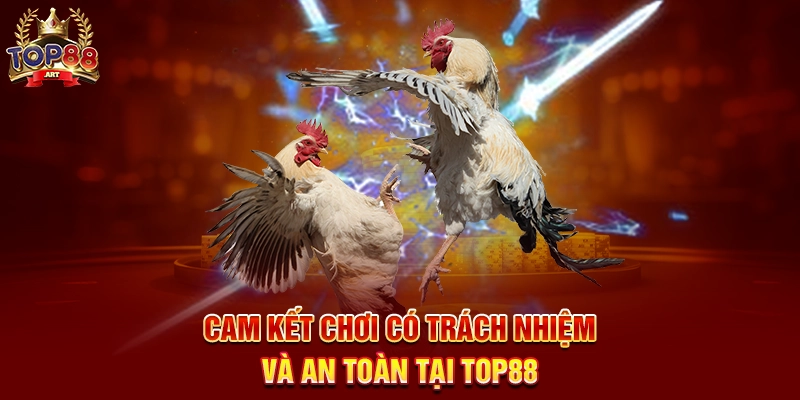 Cá Cược Đá Gà Top88 Trải Nghiệm Cá Cược Đá Gà Trực Tiếp Kịch Tính Năm 2025 Cam Kết Chơi Có Trách Nhiệm Và An Toàn Tại Top88