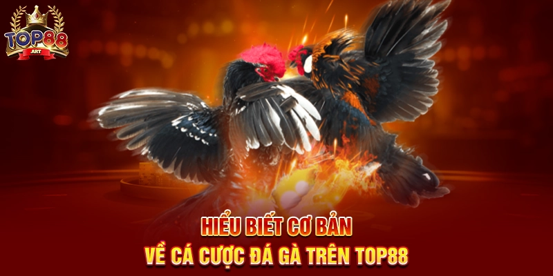 Mẹo Chơi Đá Gà Top88 Bí Quyết Cá Cược Đá Gà Thomo Thắng Lớn Năm 2025 Hiểu Biết Cơ Bản Về Cá Cược Đá Gà Trên Top88