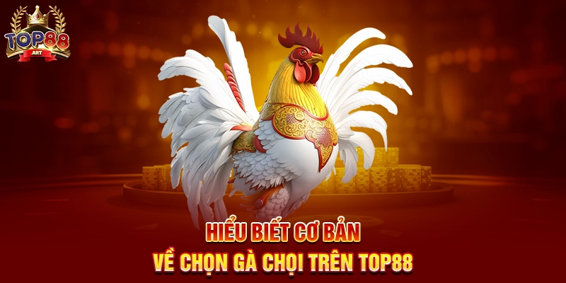 Chọn Gà Chọi Top88 Bí Quyết Chọn Chiến Kê Đỉnh Cao Để Thắng Lớn Trên Top88 Năm 2025 Hiểu Biết Cơ Bản Về Chọn Gà Chọi Trên Top88