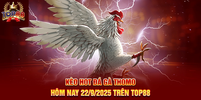 Kèo Hot Đá Gà Thomo Hôm Nay Trên Top88