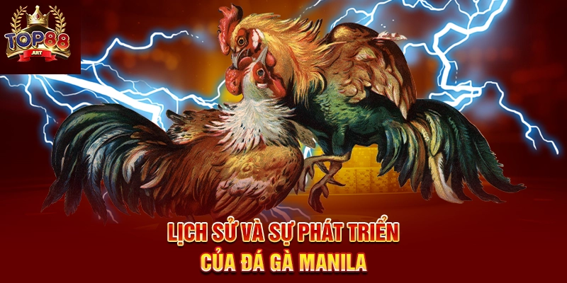Đá Gà Manila Top88 Trải Nghiệm Cá Cược Đá Gà Philippines Kịch Tính Năm 2025 Lịch Sử Và Sự Phát Triển Của Đá Gà Manila