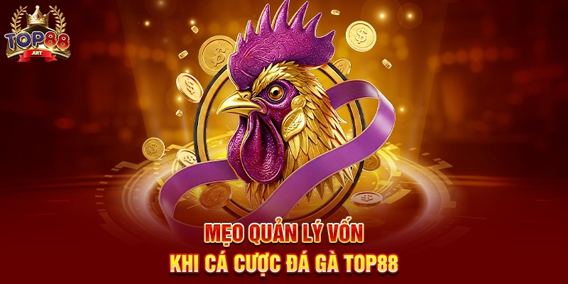 Mẹo Quản Lý Vốn Khi Cá Cược Đá Gà Top88